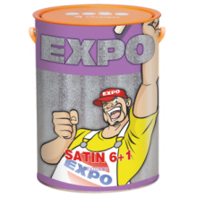 Sơn Expo | SƠN NƯỚC NGOẠI THẤT BÓNG SATIN - EXPO SATIN 6+1