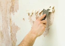 Quy trình trét bột và sơn nước đúng tiêu chuẩn