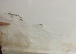 Các lỗi thường gặp và cách khắc phục khi tự tay sơn nhà?
