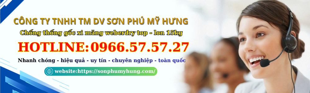 Chống thống gốc xi măng weberdry top - lon 15kg