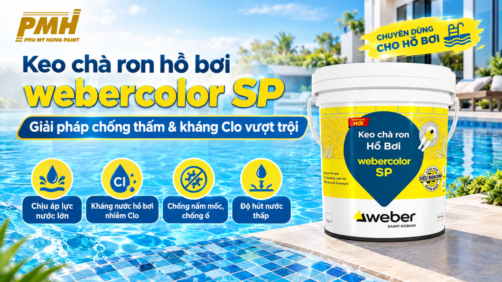Keo chà ron hồ bơi webercolor SP chính hãng tại Sơn Phú Mỹ Hưng